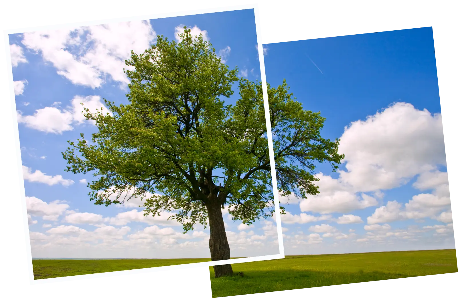 Dienstleistung Schuldenbegleiltung