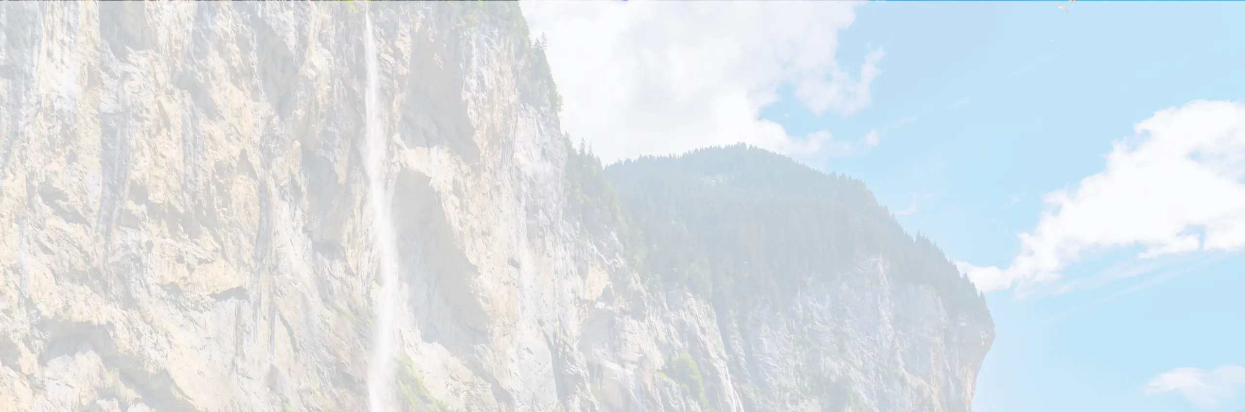 Verlustscheinbewirtschaftung